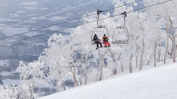 【新宿夜発】ぶっとび!日帰りスキー&スノボ|志賀高原スキー場(横手山・渋峠エリア限定リフト券付)2